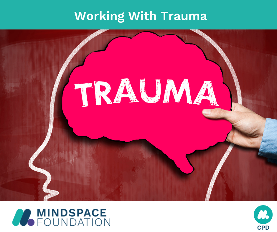 Workshop working with trauma