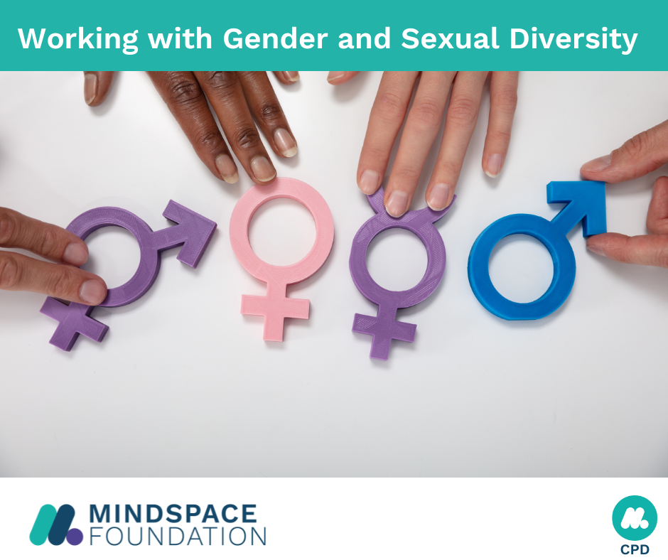 Workshop CPD gender and sexual diversity