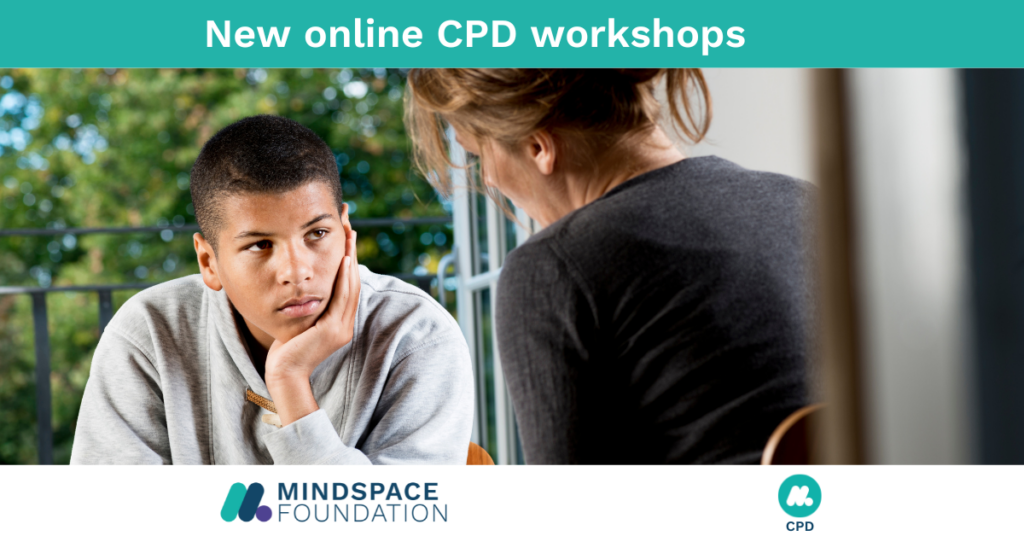 Online CPD workshops (1)